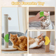 🔥Flash Sale⚡ Cat Self-Grooming Strap: Brush, Massage & De-Shed in One