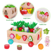 Toddlers Montessori Wooden Educational Toys for Boys Girls Age 1-3 Year Old | Shape Sorting Toys 1st One First Birthday Girl Gifts for Baby Kids 1 2 3, Wood Preschool Learning Fine Motor Skills Game