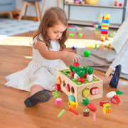 Toddlers Montessori Wooden Educational Toys for Boys Girls Age 1-3 Year Old | Shape Sorting Toys 1st One First Birthday Girl Gifts for Baby Kids 1 2 3, Wood Preschool Learning Fine Motor Skills Game