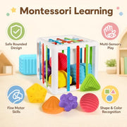 BLCXTOYZ Montessori Toys for 1 Year Old - 6 Pc Shape Sorter Activity Cube | Toddler Learning Toy, Developmental Skills, 12 Months & Up, 1st Birthday Gift for Toddlers 1-3