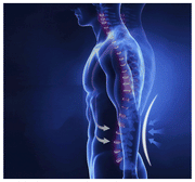 Adjustable Back Correction Belt