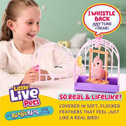 Little Live Pets My Really Real Talking Bird Toy & Cage - Rosie, Interactive Voice Repeating Toy, 20+ Sounds & Reactions, Talking Toys for Kids 5-7